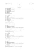 ANTI-LRP5 ANTIBODIES AND METHODS OF USE diagram and image