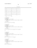 ANTI-LRP5 ANTIBODIES AND METHODS OF USE diagram and image