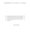 Recombinant Monovalent Antibodies diagram and image