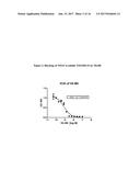 Fully Human Antibodies that Bind to VEGFR2 diagram and image