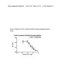 Fully Human Antibodies that Bind to VEGFR2 diagram and image