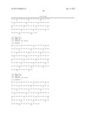 Fully Human Antibodies that Bind to VEGFR2 diagram and image