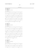 Fully Human Antibodies that Bind to VEGFR2 diagram and image