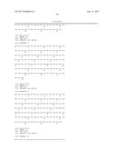 Fully Human Antibodies that Bind to VEGFR2 diagram and image