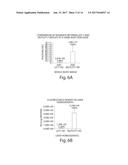 ISOLATION OF NOVEL AAV S AND USES THEREOF diagram and image