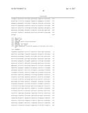 MODIFIED MICROORGANISM FOR IMPROVED PRODUCTION OF FINE CHEMICALS ON     SUCROSE diagram and image