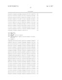 MODIFIED MICROORGANISM FOR IMPROVED PRODUCTION OF FINE CHEMICALS ON     SUCROSE diagram and image