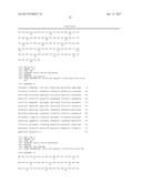 MODIFIED MICROORGANISM FOR IMPROVED PRODUCTION OF FINE CHEMICALS ON     SUCROSE diagram and image