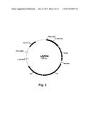 Enzyme Compositions and Uses Thereof diagram and image