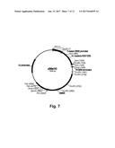 Enzyme Compositions and Uses Thereof diagram and image