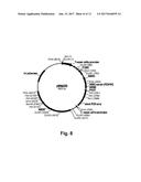 Enzyme Compositions and Uses Thereof diagram and image