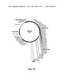 Enzyme Compositions and Uses Thereof diagram and image