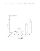 LONG NON-CODING RNA AS A DIAGNOSTIC AND THERAPEUTIC AGENT diagram and image