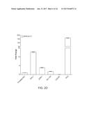 LONG NON-CODING RNA AS A DIAGNOSTIC AND THERAPEUTIC AGENT diagram and image