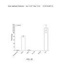 LONG NON-CODING RNA AS A DIAGNOSTIC AND THERAPEUTIC AGENT diagram and image