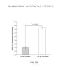 LONG NON-CODING RNA AS A DIAGNOSTIC AND THERAPEUTIC AGENT diagram and image