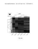 LONG NON-CODING RNA AS A DIAGNOSTIC AND THERAPEUTIC AGENT diagram and image