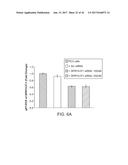 LONG NON-CODING RNA AS A DIAGNOSTIC AND THERAPEUTIC AGENT diagram and image