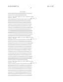 LONG NON-CODING RNA AS A DIAGNOSTIC AND THERAPEUTIC AGENT diagram and image