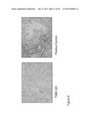 BIOMARKERS AND METHODS OF USE THEREOF diagram and image