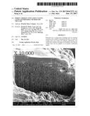 POROUS THERMAL INSULATION COATING LAYER AND PREPARING METHOD FOR THE SAME diagram and image