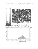 Porous Bodies and Methods diagram and image