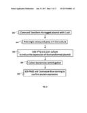 SPECIFIC BIOMARKER SET FOR NON-INVASIVE DIAGNOSIS OF LIVER CANCER diagram and image