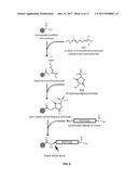 SPECIFIC BIOMARKER SET FOR NON-INVASIVE DIAGNOSIS OF LIVER CANCER diagram and image