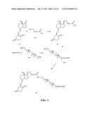 BINDING PARTNERS SPECIFIC FOR VITAMIN D EPIMERS IN VITAMIN D ASSAYS diagram and image