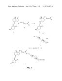 BINDING PARTNERS SPECIFIC FOR VITAMIN D EPIMERS IN VITAMIN D ASSAYS diagram and image