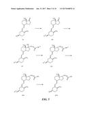 BINDING PARTNERS SPECIFIC FOR VITAMIN D EPIMERS IN VITAMIN D ASSAYS diagram and image