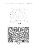 METHODS FOR DRIVING ELECTROPHORETIC DISPLAYS USING DIELECTROPHORETIC     FORCES diagram and image