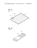 INPUT DEVICE AND SYSTEM OF INPUT DEVICE diagram and image