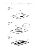 INPUT DEVICE AND SYSTEM OF INPUT DEVICE diagram and image