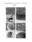 CATHODE MATERIALS CONTAINING OLIVINE STRUCTURED NANOCOMPOSITES diagram and image