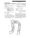 ANEURSYM OCCLUSION SYSTEM AND METHOD diagram and image