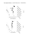 Treatment of Mixed Dyslipidemia diagram and image