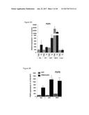 METHODS AND COMPOSITIONS FOR INDUCTION OF UCP1 EXPRESSION diagram and image