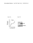 METHODS AND COMPOSITIONS FOR INDUCTION OF UCP1 EXPRESSION diagram and image