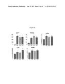 METHODS AND COMPOSITIONS FOR INDUCTION OF UCP1 EXPRESSION diagram and image