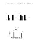 METHODS AND COMPOSITIONS FOR INDUCTION OF UCP1 EXPRESSION diagram and image