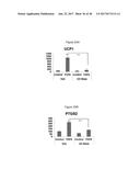 METHODS AND COMPOSITIONS FOR INDUCTION OF UCP1 EXPRESSION diagram and image