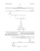 Biotin Derivatives diagram and image