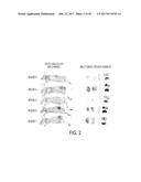 MODIFICATION OF CUPREDOXIN DERIVED PEPTIDES AND METHODS OF USE THEREOF diagram and image