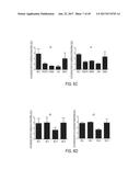 MODIFICATION OF CUPREDOXIN DERIVED PEPTIDES AND METHODS OF USE THEREOF diagram and image