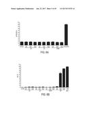 MODIFICATION OF CUPREDOXIN DERIVED PEPTIDES AND METHODS OF USE THEREOF diagram and image