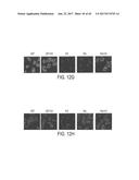 MODIFICATION OF CUPREDOXIN DERIVED PEPTIDES AND METHODS OF USE THEREOF diagram and image