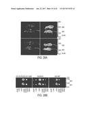 MODIFICATION OF CUPREDOXIN DERIVED PEPTIDES AND METHODS OF USE THEREOF diagram and image