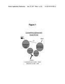 SERUM ALBUMIN-BINDING FIBRONECTIN TYPE III DOMAINS diagram and image