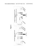 SERUM ALBUMIN-BINDING FIBRONECTIN TYPE III DOMAINS diagram and image